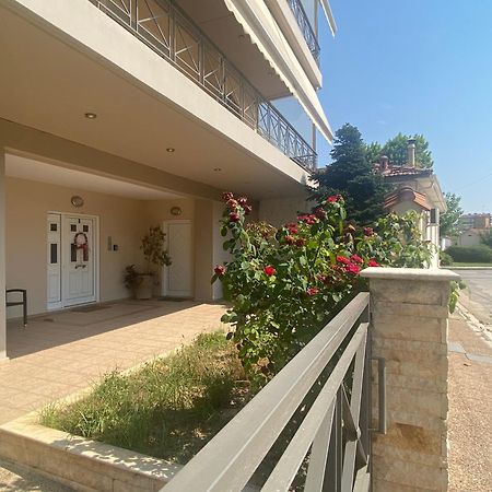 Cozy & Quiet City Apartment Tríkala Kültér fotó