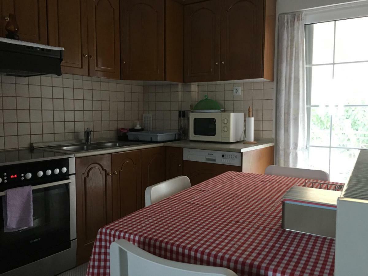 Cozy & Quiet City Apartment Tríkala Kültér fotó